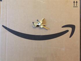 Porch Pirate & Amazon Key