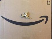 Porch Pirate & Amazon Key